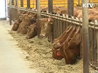 한우 유전체 완전 해독…세계 3번째