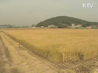 쌀 가공식품 동아시아 진출 박차