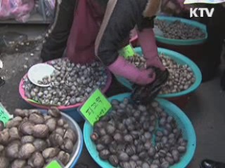 광주시, 전통시장 살리기에 총력전