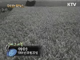 식량증산(64')