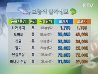 알뜰장보기 물가정보