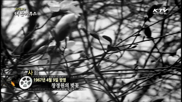 다시보는 대한늬우스 (67.04.09)