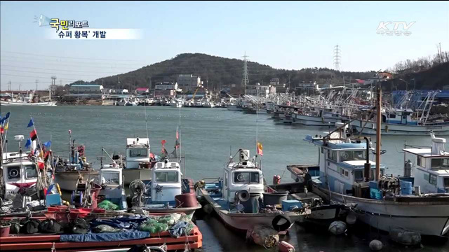 성장 속도 6배 빠른 '슈퍼 황복' 개발