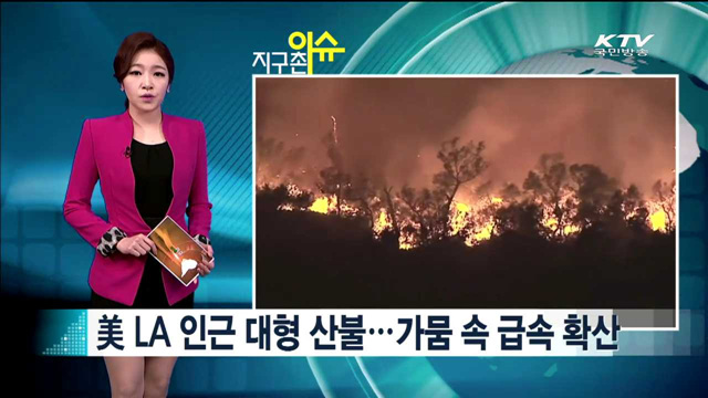 美 LA 인근 대형 산불…가뭄 속 급속 확산 