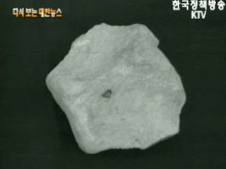 공룡 화석 발굴, 경북 영일군(`63)