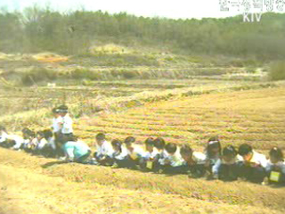 65개 농,산,어촌 체험마을 보험료 지원