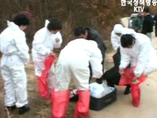 전북 익산, AI 방역조치 29일부터 해제