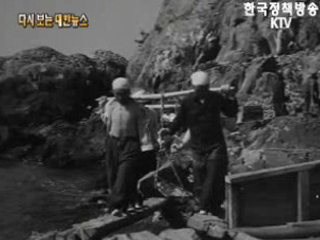 새로운 고향('62)
