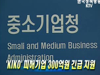 'KIKO' 피해기업 300억원 긴급 지원