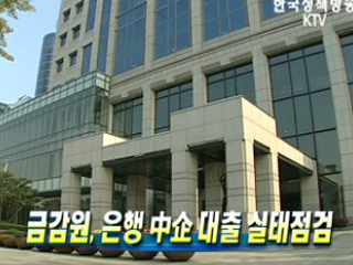 금감원, 은행 中企 대출 실태점검