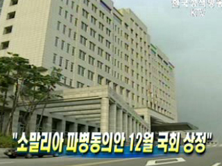 소말리아 파병동의안 12월 국회 상정