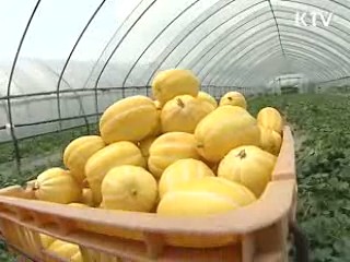 농산물 품질표시 강화…알권리 충족