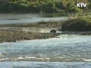 "4대강 살리기, 한국을 위한 기회"