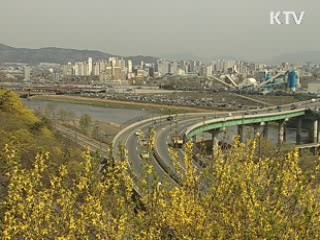 닷새 빠른 개화, 봄꽃 보러 오세요