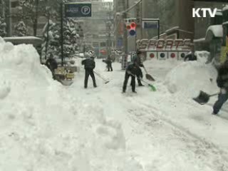 내집 앞 눈 방치 심하면 과태료 부과 추진