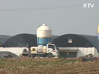 정부, '농가·여행객 AI 방역 협조' 당부