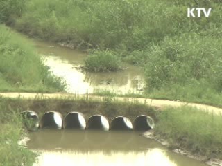 "2012년 4대강 수질 2급수 비율 86%"