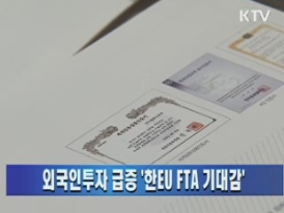 외국인투자 급증 '한EU FTA 기대감'
