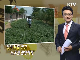 정부 보증 연금 '노후를 편안하게'