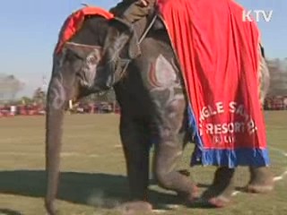 로마 '콜로세움' 벽면 부서져 내려