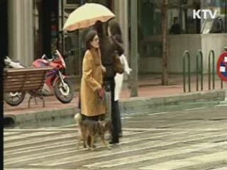 S&P, 스페인 신용등급 2단계 강등