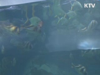 알찬 엑스포 관람…해답은 '맞춤형 동선'