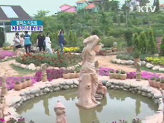 '수목원' '기암절벽' '맛' 찾아 태안으로 오세요 [캠퍼스 리포트]