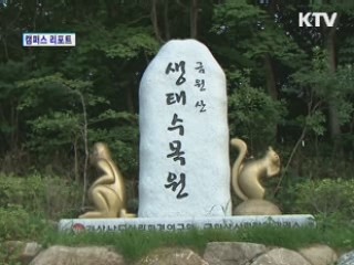 금원산 자연휴양림 [캠퍼스 리포트]