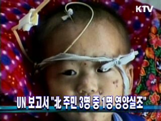 UN 보고서 "北 주민 3명 중 1명 영양실조