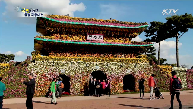 함평 국향대전, 100억 송이 국화꽃 향연