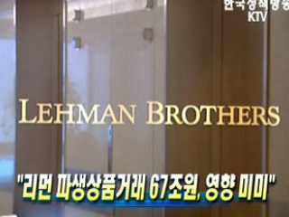 리먼 파생상품거래 67조원, 영향 미미