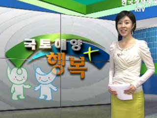 건설 산업 선진화 방안