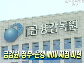 금감원, 정부-은행 MOU 지침 마련