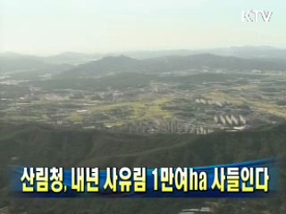 산림청, 내년 사유림 1만여ha 사들인다