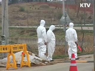 올해 광우병통제국 지위 획득 추진