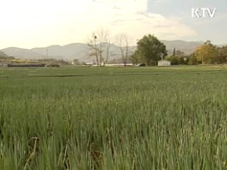 '농지연금' 2011년부터 도입