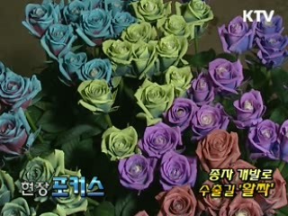 종자 개발로 수출길 '활짝' [현장 포커스]