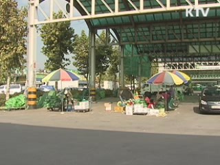 "오는 주말 배추값 4천원대 하락 전망"