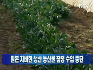 일본 치바현 생산 농산물 잠정 수입 중단