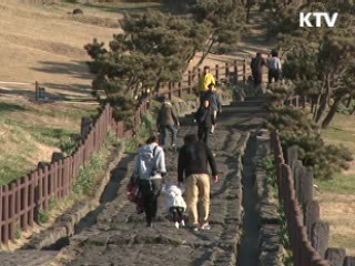 세계 7대 자연경관 투표 오늘 마감