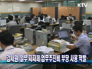 감사원, 일부 지자체 업무추진비 부당 사용 적발