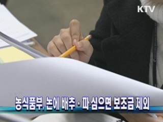 농식품부, 논에 배추·파 심으면 보조금 제외