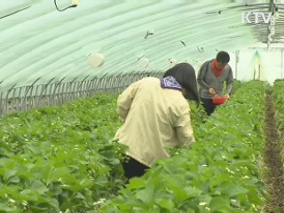 우수 농산물 인증 확대…식탁 안전 향상