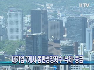 대기업 7개사 동반성장지수 '낙제' 등급