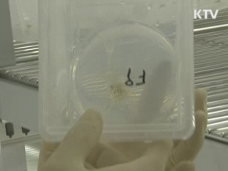 내년 농식품 물가안정 예산 대폭 확대