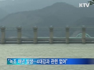 "4대강 보 안전·기능에 문제 없어"