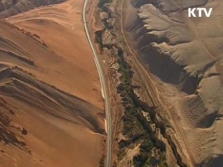 '경주 세계문화 엑스포' 성공기원 문화행사