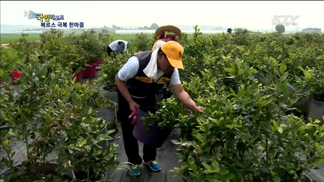 메르스 극복…각계 한마음으로 나선다