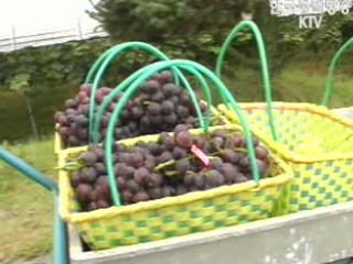 검증된 FTA 효과