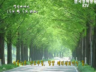 한국의 아름다운 길 - 담양 메타쉐콰이아 길